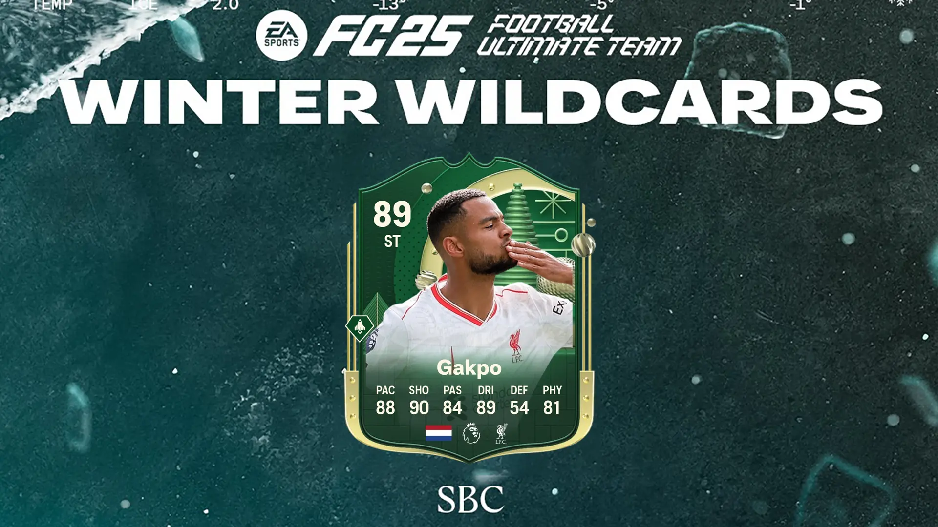 EA FC 25 SBC Gakpo Jolly Invernali Soluzioni E Recensione Della Carta Winter Wildcards